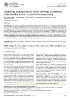 Telephone administration of the Yesavage depression scale in older adults: a proof-of-concept study